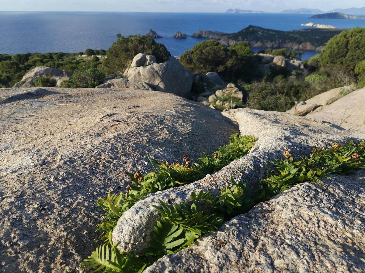 Casa Vacanze Richi&Michi Chia Villa Dış mekan fotoğraf